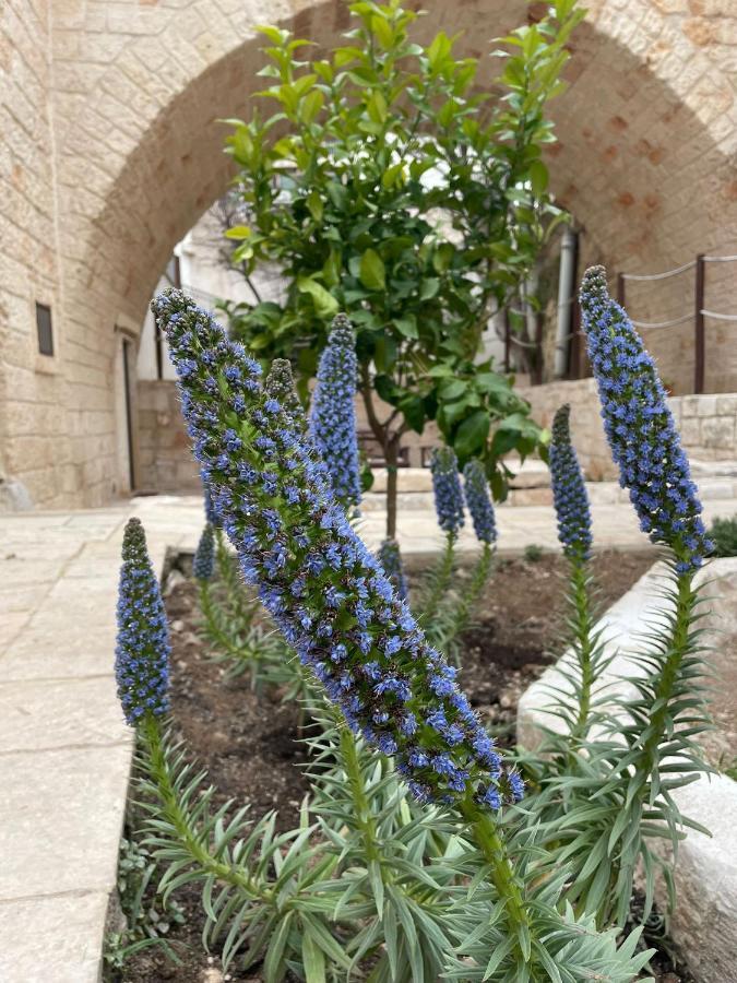 Lamanna Summer House Polignano a Mare Exterior foto